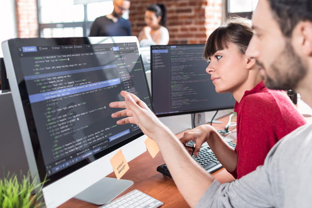 Java Developer