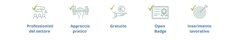 Focal Point_Infografica
